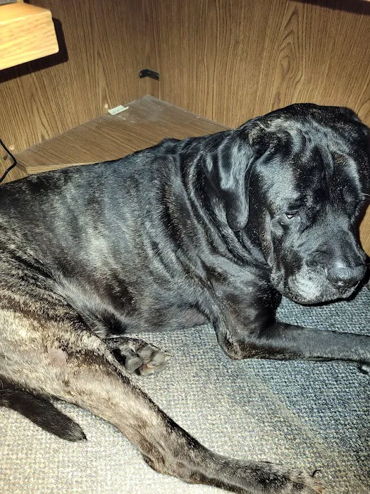 Brookhill Animal Clinic 12