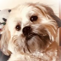 Canal's Edge Veterinary Clinic ico