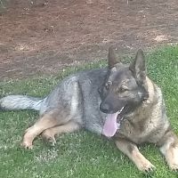 Circleville Veterinary Clinic ico