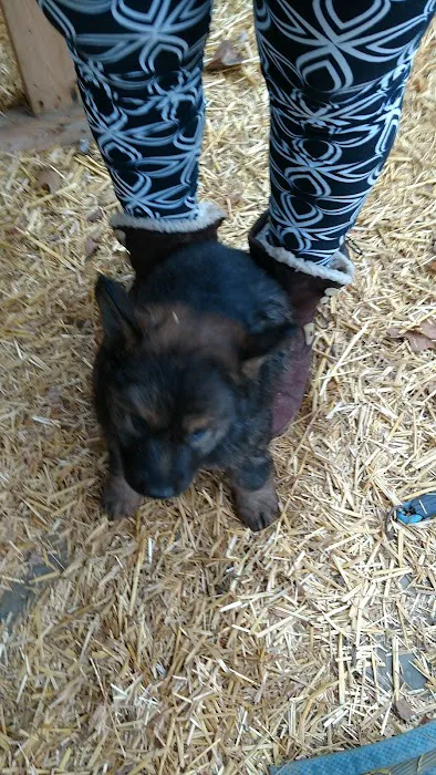North Court Animal Clinic 12