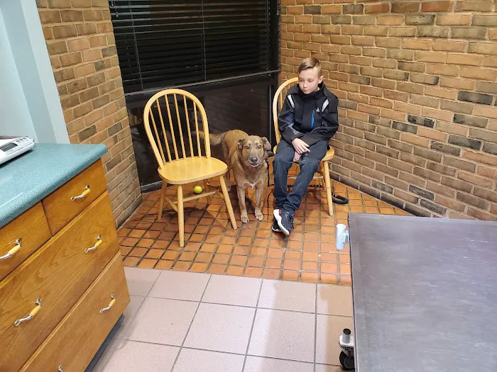 North Court Animal Clinic 12