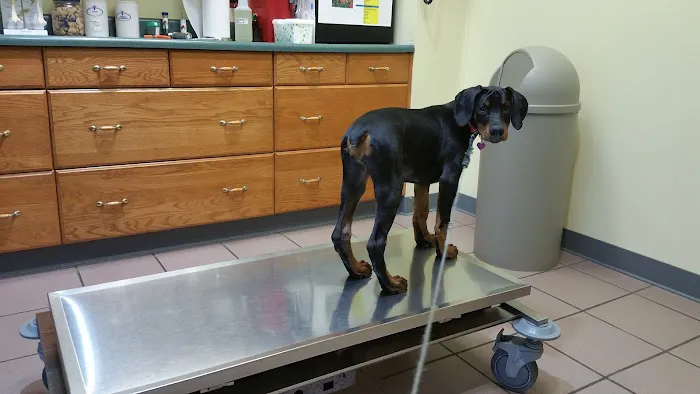 North Court Animal Clinic 12