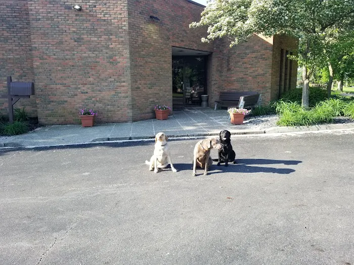 North Court Animal Clinic 12