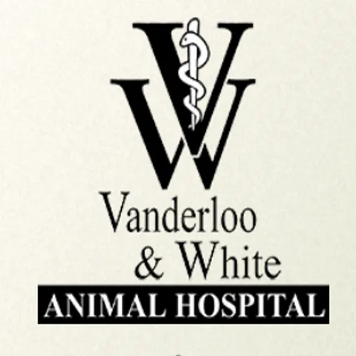 Vanderloo & White Animal Hospital 12