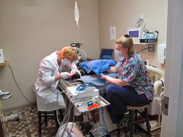 Colonial Terrace Animal Hospital 12