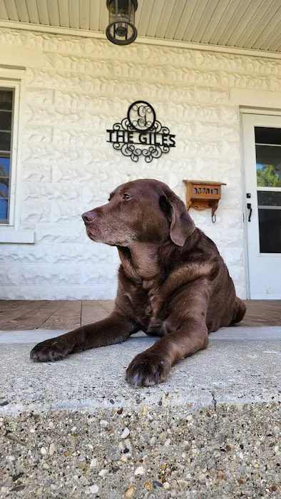 GoodLife Integrative Veterinary Care 12