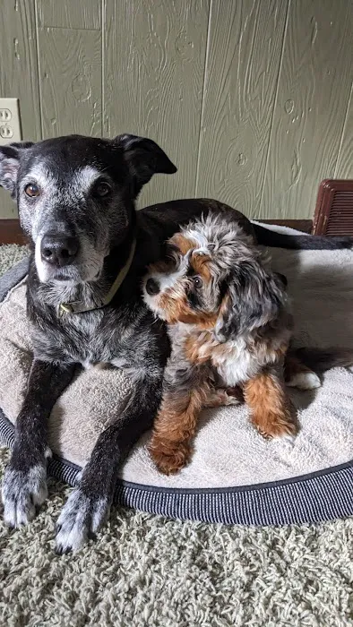 GoodLife Integrative Veterinary Care 12