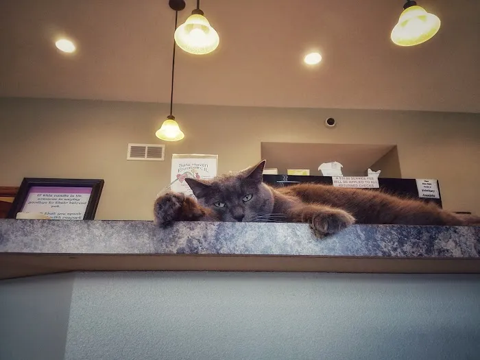 Veterinary Associates - Galena 2