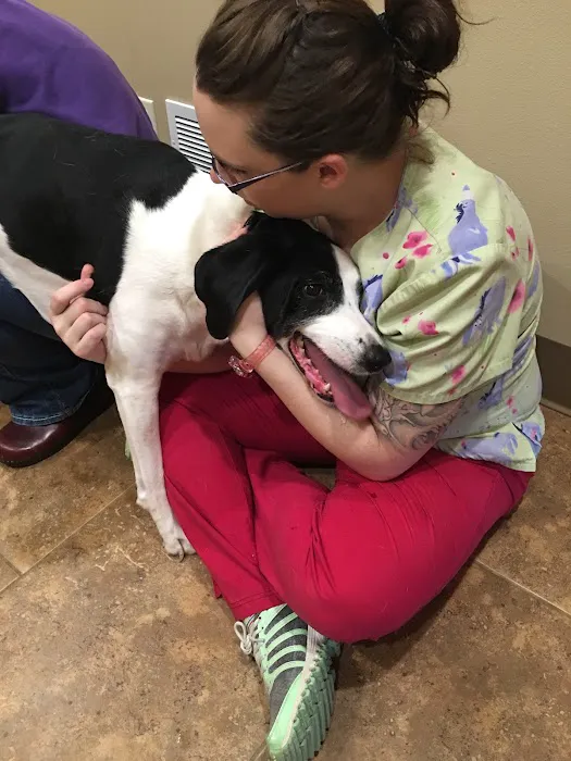 Veterinary Associates - Galena 1