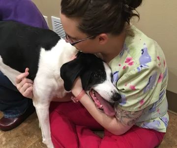 Veterinary Associates - Galena