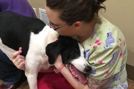 Veterinary Associates - Galena