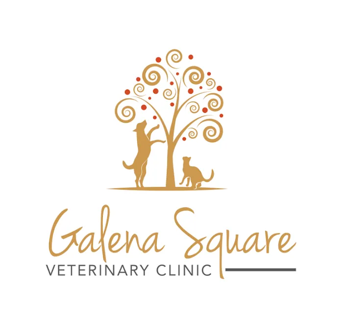 Galena Square Veterinary Clinic 7