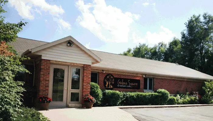 Galena Square Veterinary Clinic 1