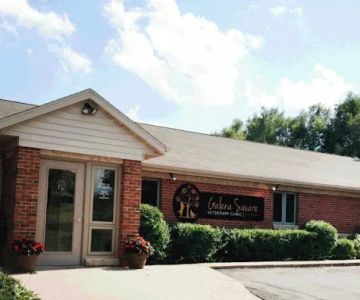 Galena Square Veterinary Clinic