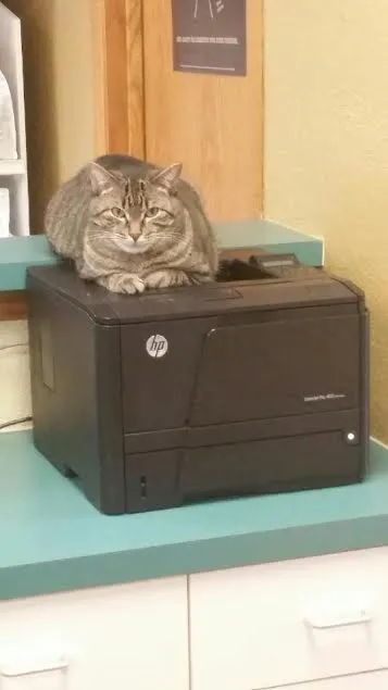 Galena Square Veterinary Clinic 6