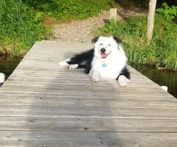 PetMed of Key West Veterinary Clinic 12