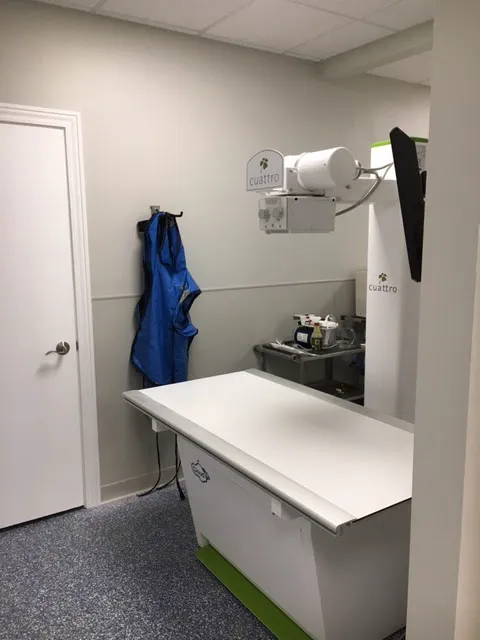 PetMed of Key West Veterinary Clinic 12