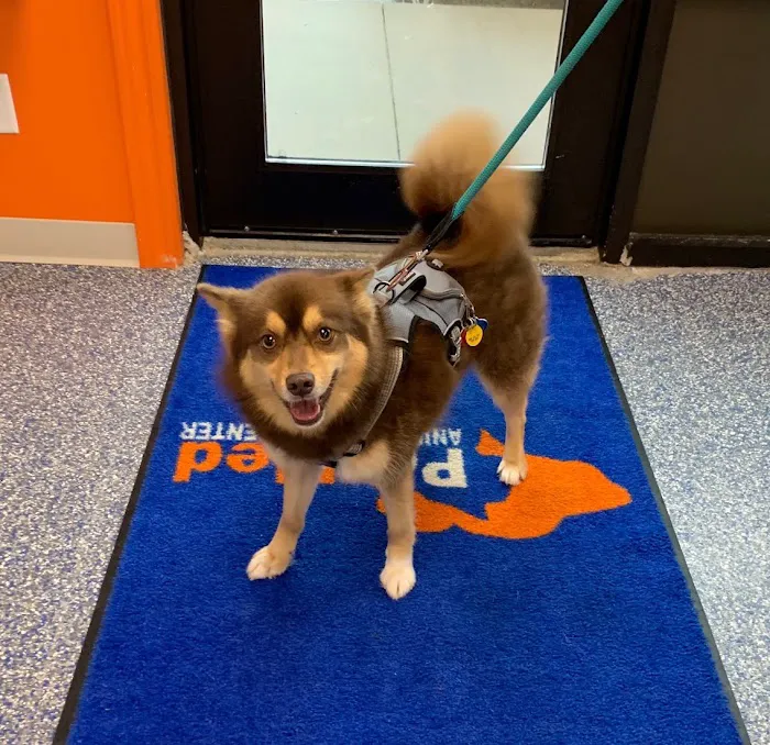 PetMed of Key West Veterinary Clinic 12