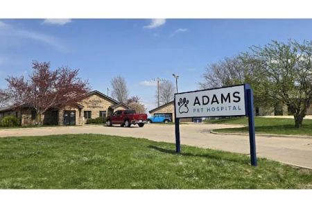 Adams Pet Hospital