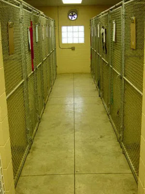 Adams Pet Hospital 5