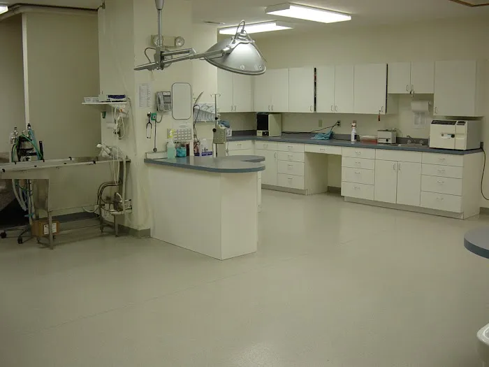 Adams Pet Hospital 7