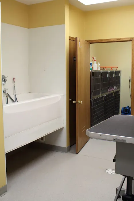Adams Pet Hospital 8