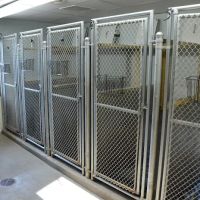 Tender Care Animal Hospital LLC ico