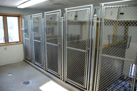 Tender Care Animal Hospital LLC