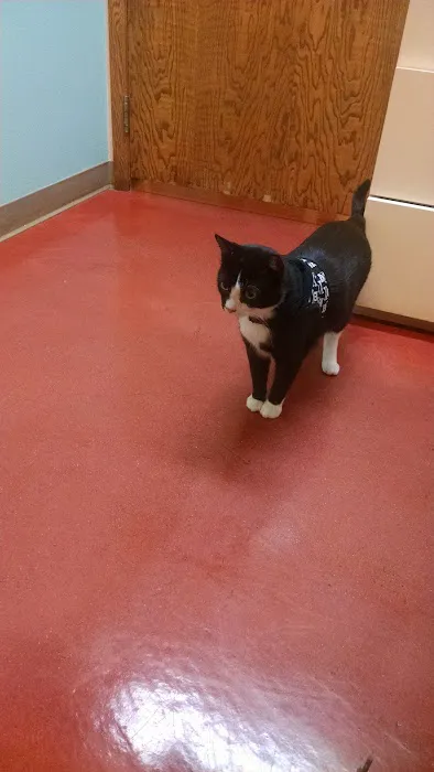 Hillside Animal Hospital 3