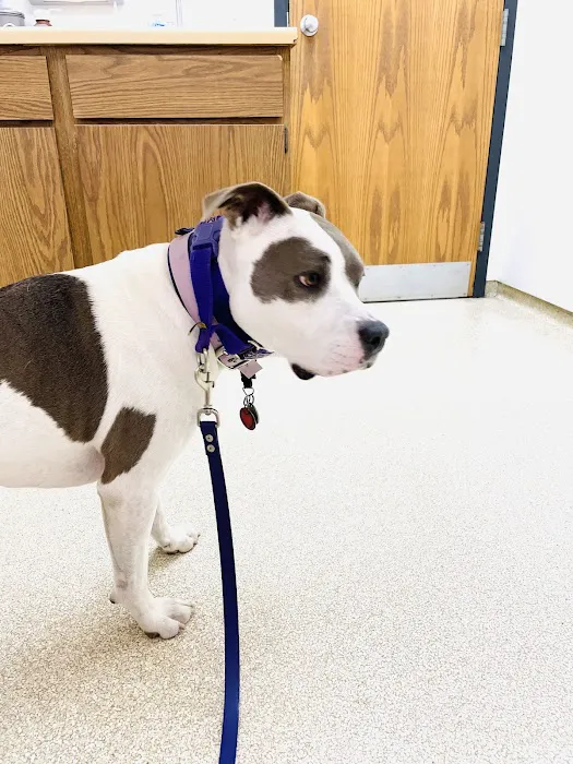 Thompson Animal Medical Center 1