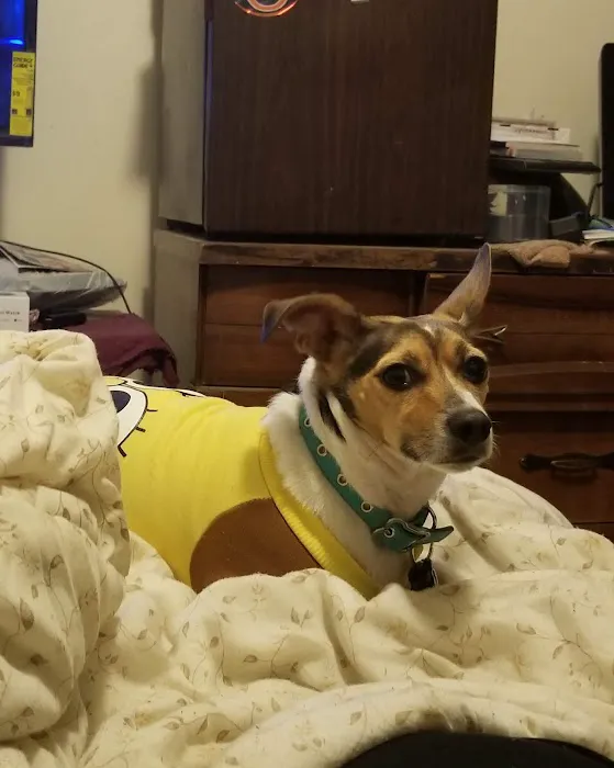 Thompson Animal Medical Center 5