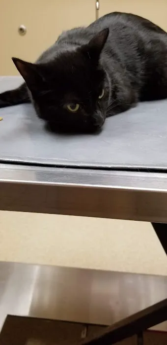 Thompson Animal Medical Center 8