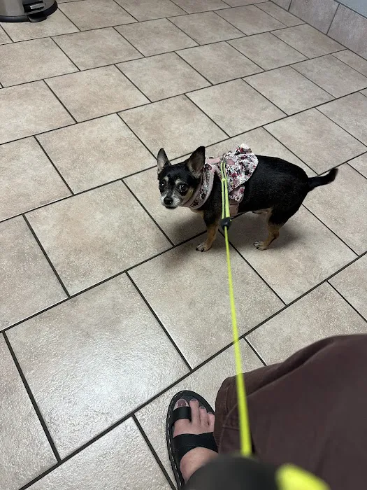 Central Animal Hospital 9