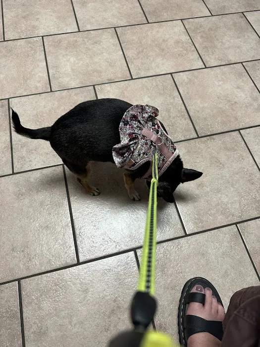 Central Animal Hospital 7