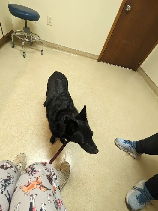 Central Animal Hospital 1