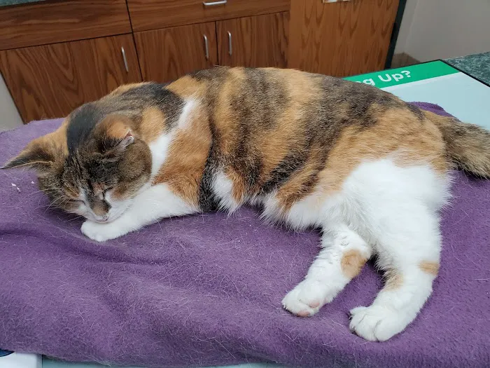 La Crescent Animal Care 12
