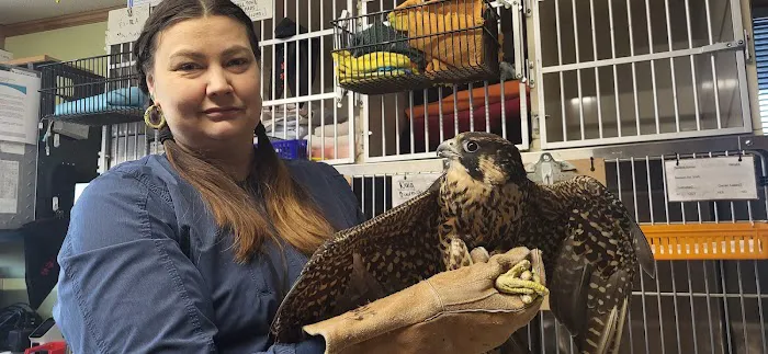 Wisconsin Veterinary Orthopedics 5