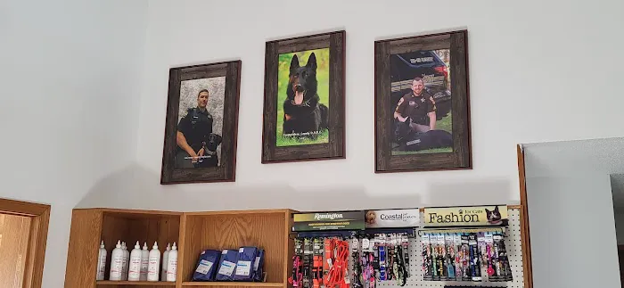 Wisconsin Veterinary Orthopedics 3