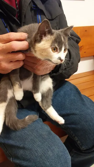Van Loon Animal Hospital 4