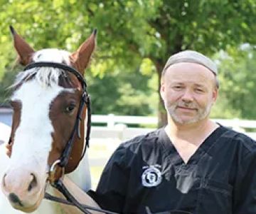 Van Loon Animal Hospital