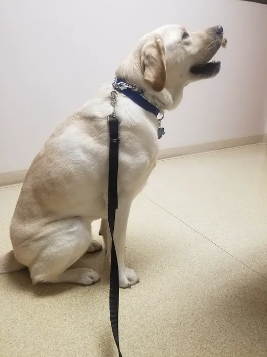 Animal Medical Center 5