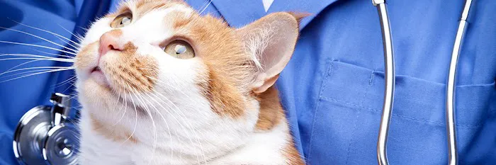 Animal Medical Center 8