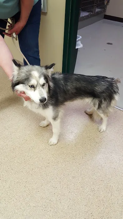 We Care Animal Hospital 12