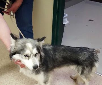 We Care Animal Hospital