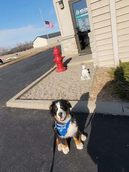 Wildwood Animal Hospital & Clinic 8