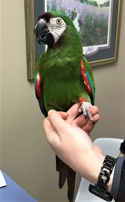 Wildwood Animal Hospital & Clinic 4