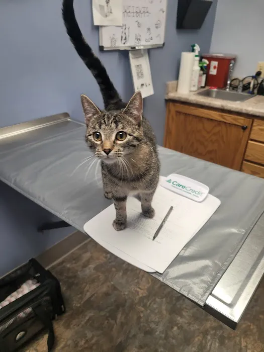 North Heights Veterinary Clinic 6