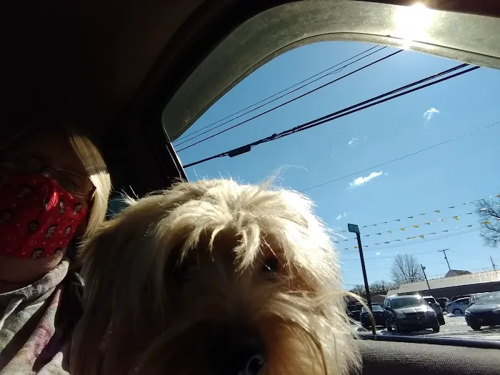 Allen Pet Clinic Ltd 8