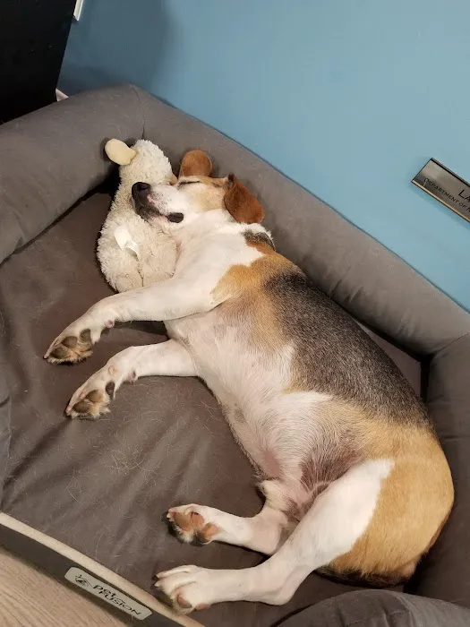 Allen Pet Clinic Ltd 2
