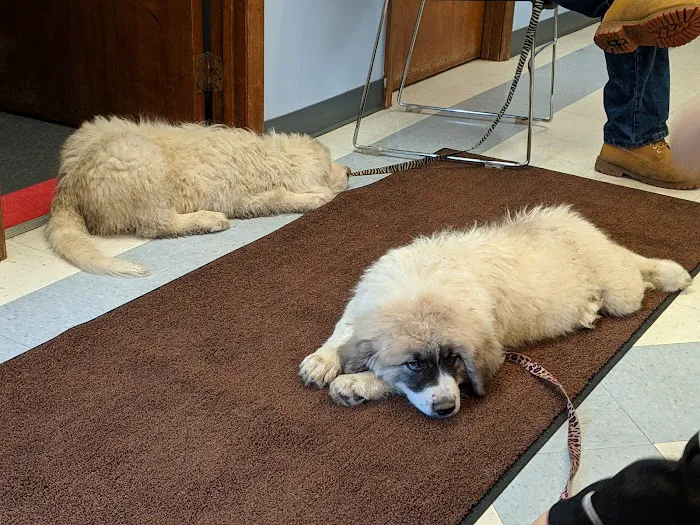Clearfork Veterinary Hospital 10